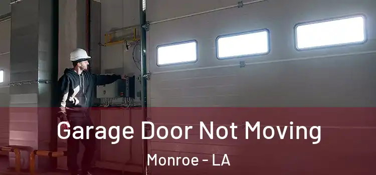  Garage Door Not Moving Monroe - LA